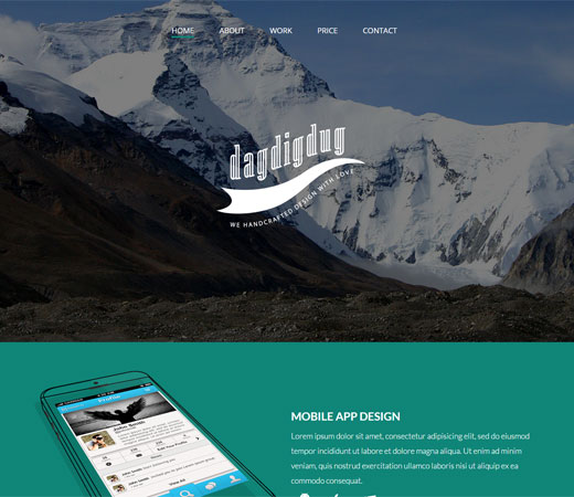 网络管理工具的在线网站攻击