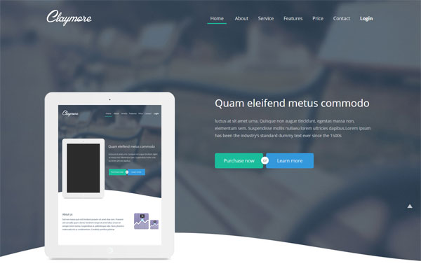 清新脱俗的ddos测压网站